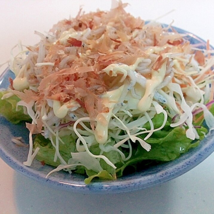 フラワーレタスと千切り野菜と釜揚げしらすの和サラダ レシピ 作り方 By ぷ みぃまま 楽天レシピ フラワーレタスと千切り野菜と釜揚げしらすの和サラダ レシピ 作り方 By ぷ みぃまま 楽天レシピ